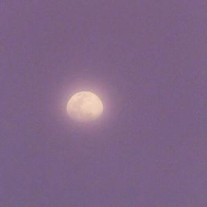 黄色疯狂大奶头玩小鸡巴女人强奸送外买
